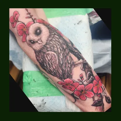 Owl tattoo
